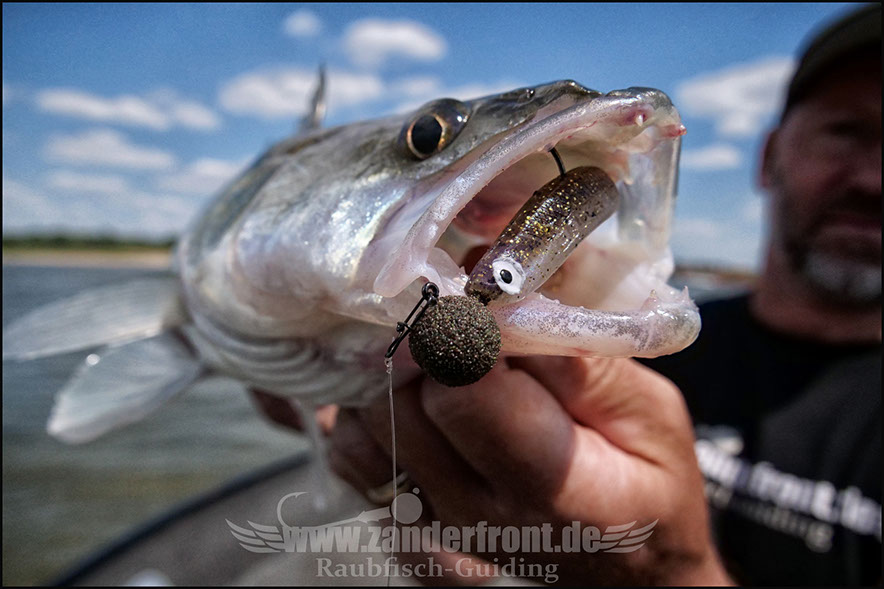 Natural Jigs