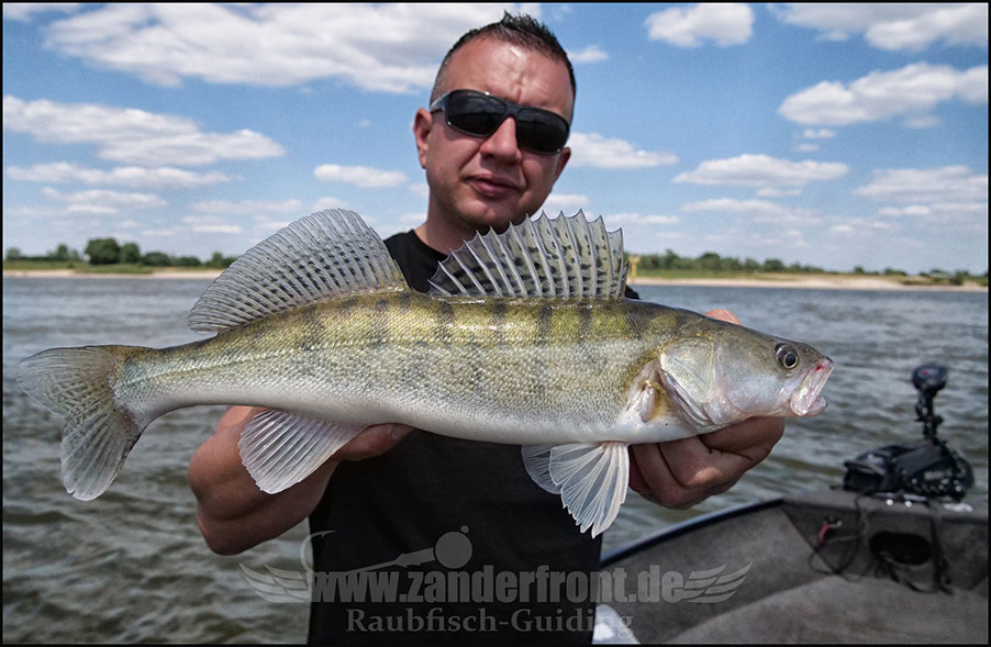 Natural Jigs