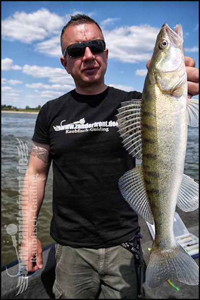 Natural Jigs