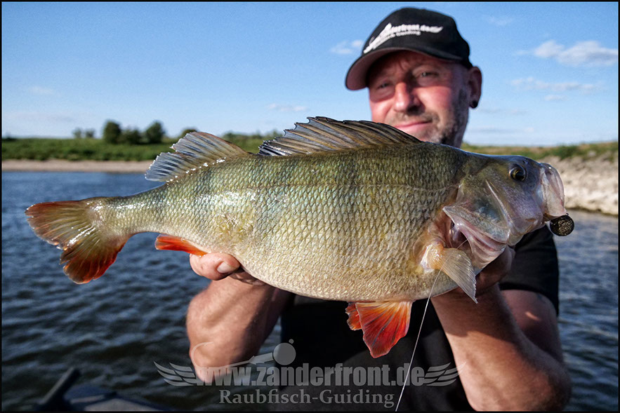 Natural Jigs