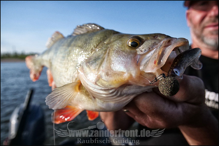 Natural Jigs