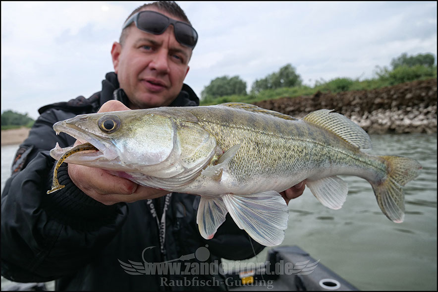 Natural Jigs