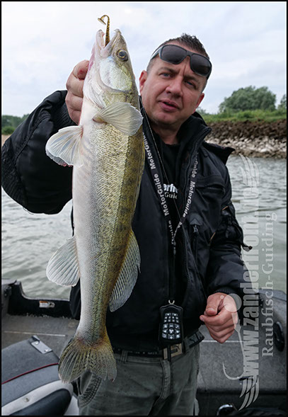Natural Jigs