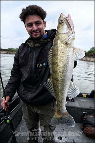 Natural Jigs