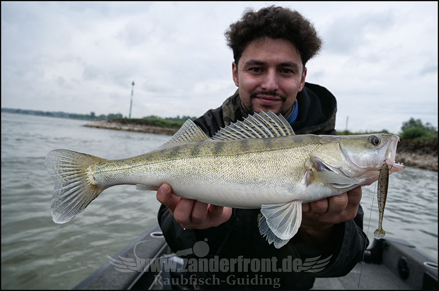 Natural Jigs