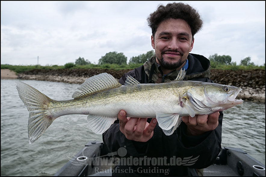 Natural Jigs