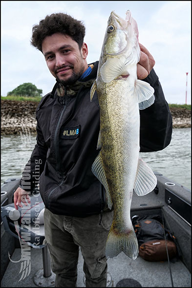 Natural Jigs