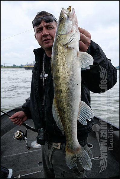 Natural Jigs