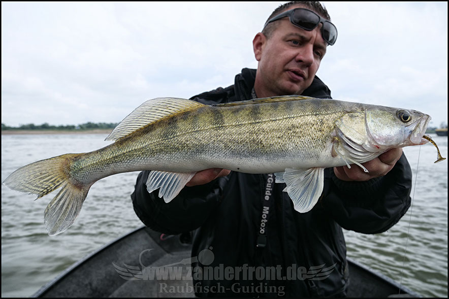 Natural Jigs