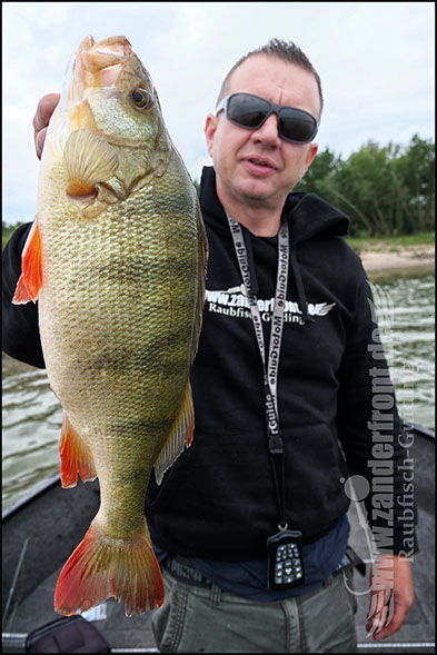 Natural Jigs
