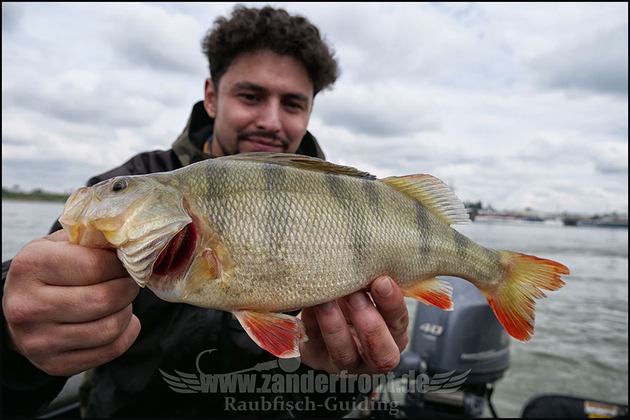 Natural Jigs