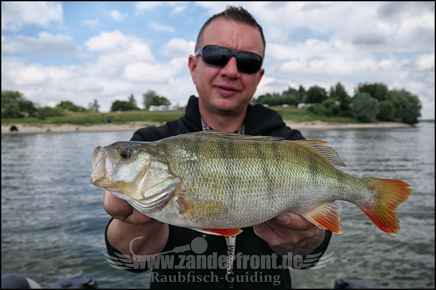 Natural Jigs