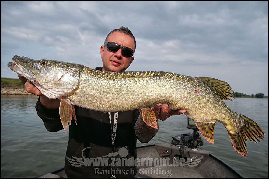 Natural Jigs