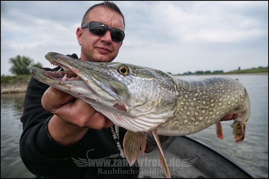 Natural Jigs