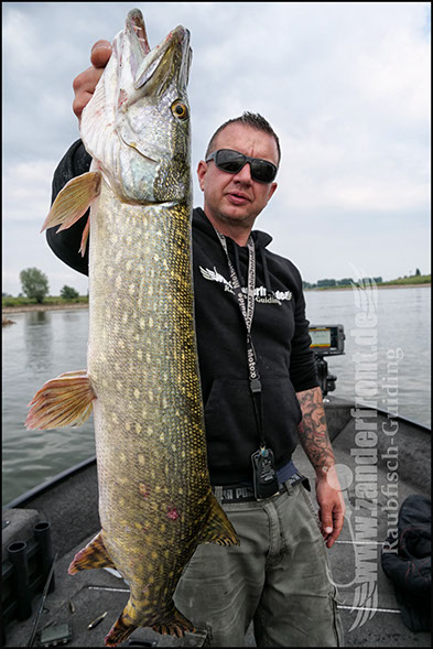 Natural Jigs