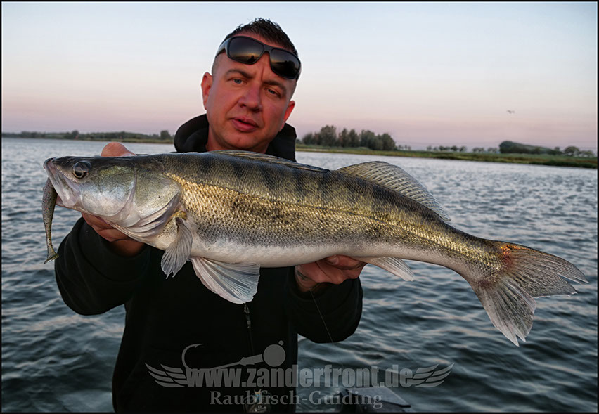Natural Jigs