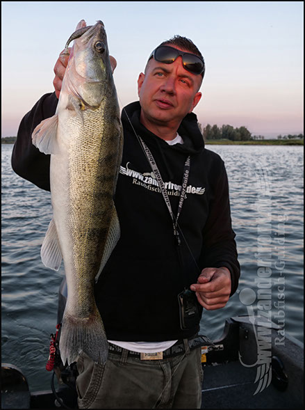 Natural Jigs