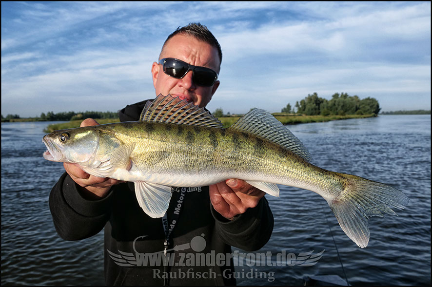 Natural Jigs