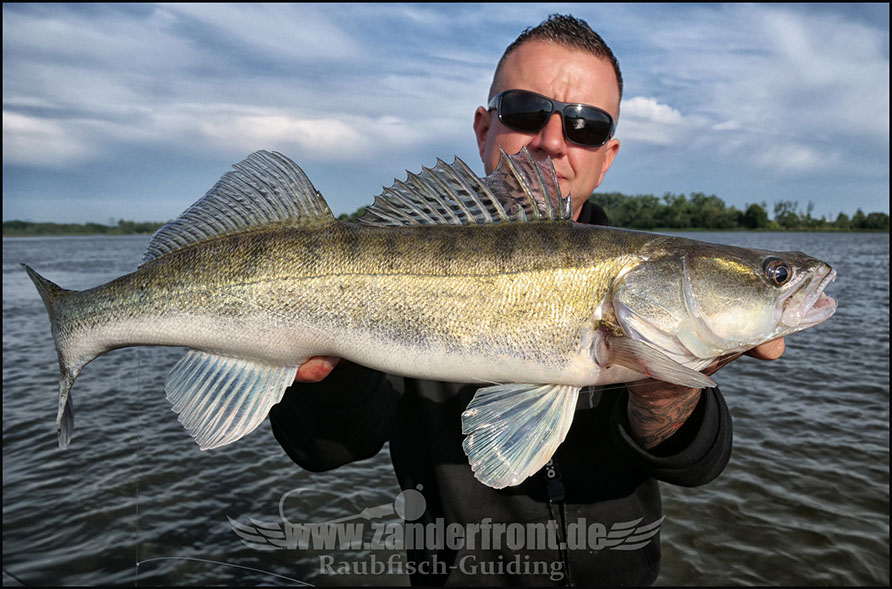 Natural Jigs