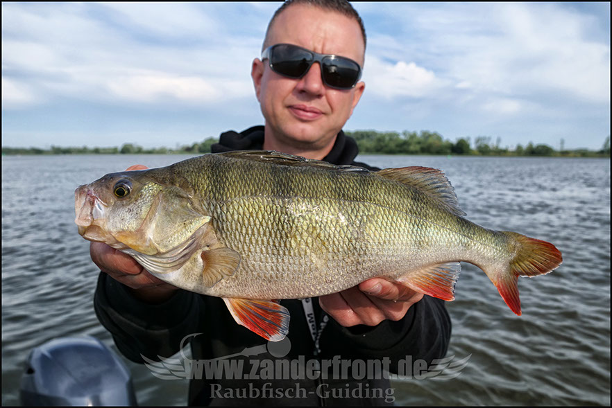 Natural Jigs