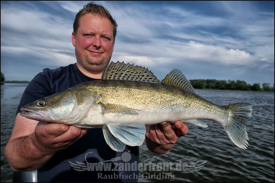 Natural Jigs