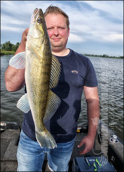 Natural Jigs
