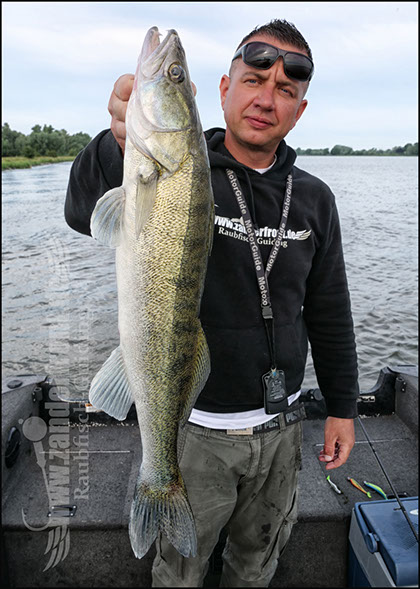 Natural Jigs