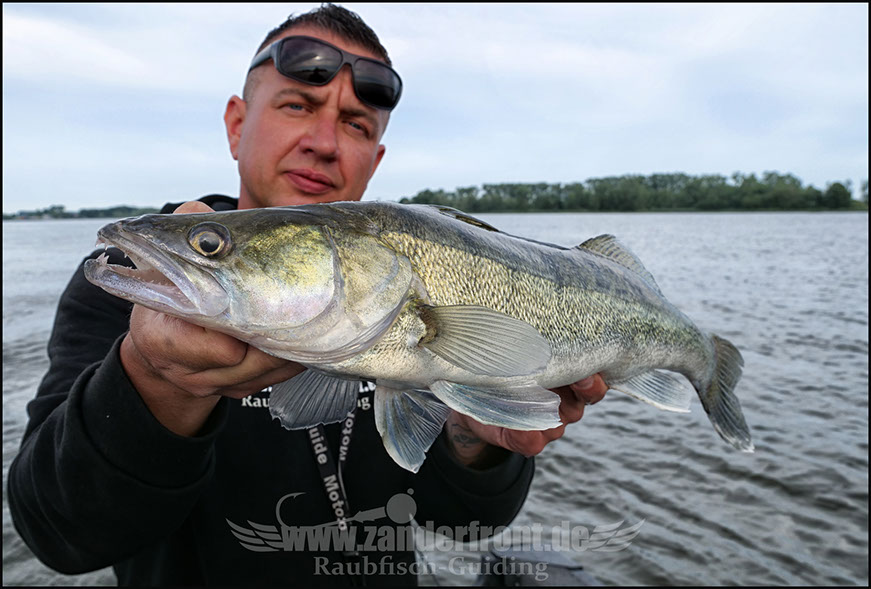 Natural Jigs