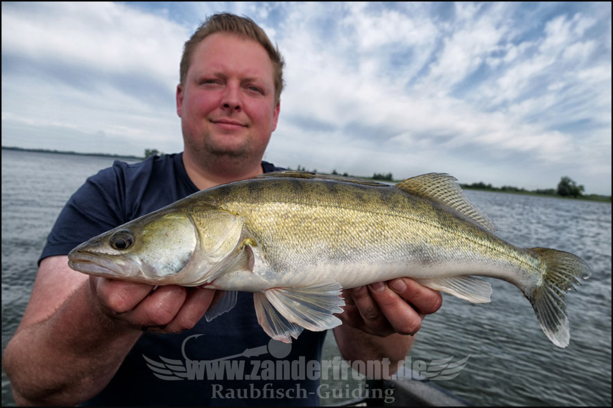 Natural Jigs