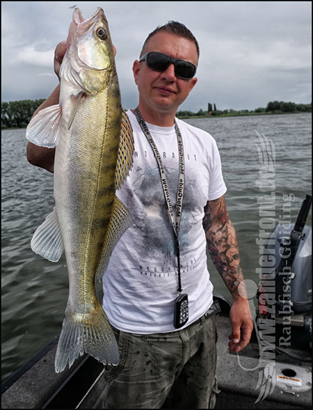 Natural Jigs