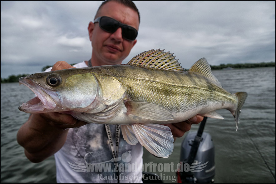 Natural Jigs