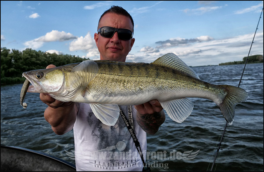 Natural Jigs