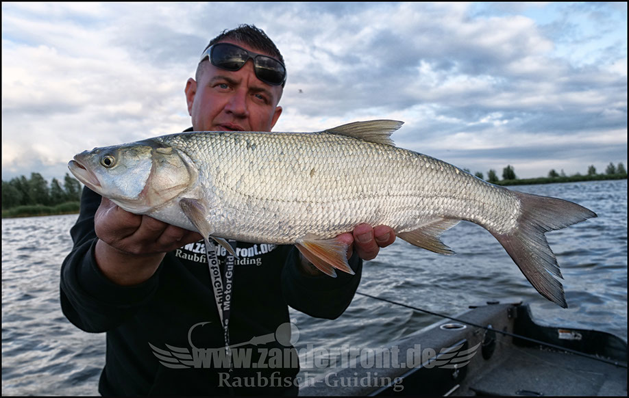 Natural Jigs