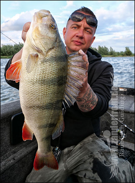 Natural Jigs