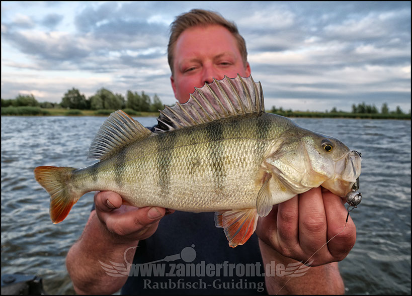 Natural Jigs