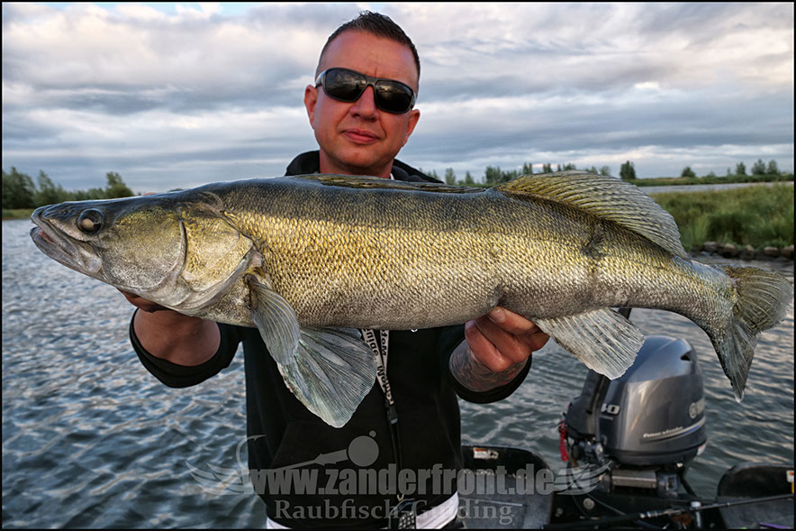 Natural Jigs