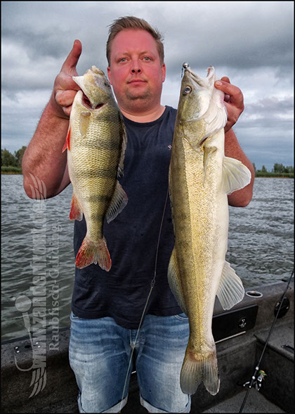 Natural Jigs