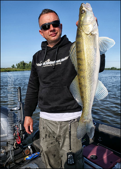 vertikal angeln auf zander