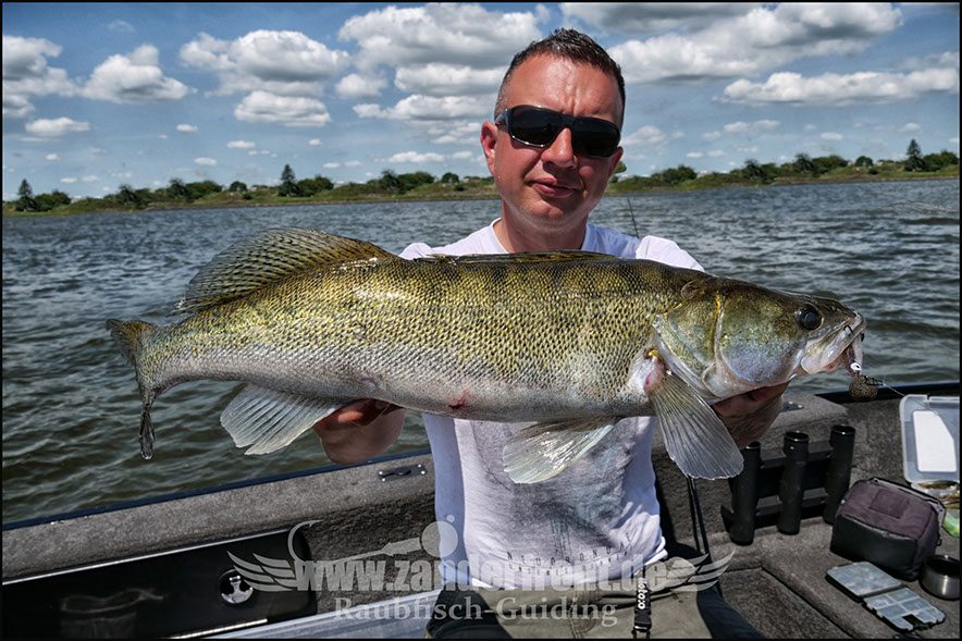vertikal angeln auf zander