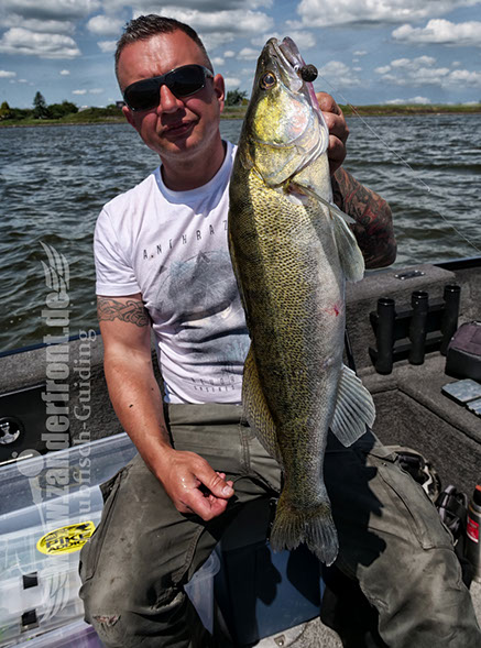 vertikal angeln auf zander