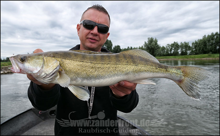 vertikal angeln auf zander