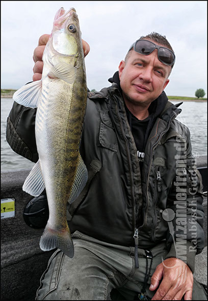 vertikal angeln auf zander