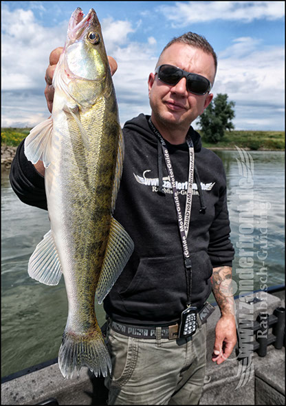 vertikal angeln auf zander