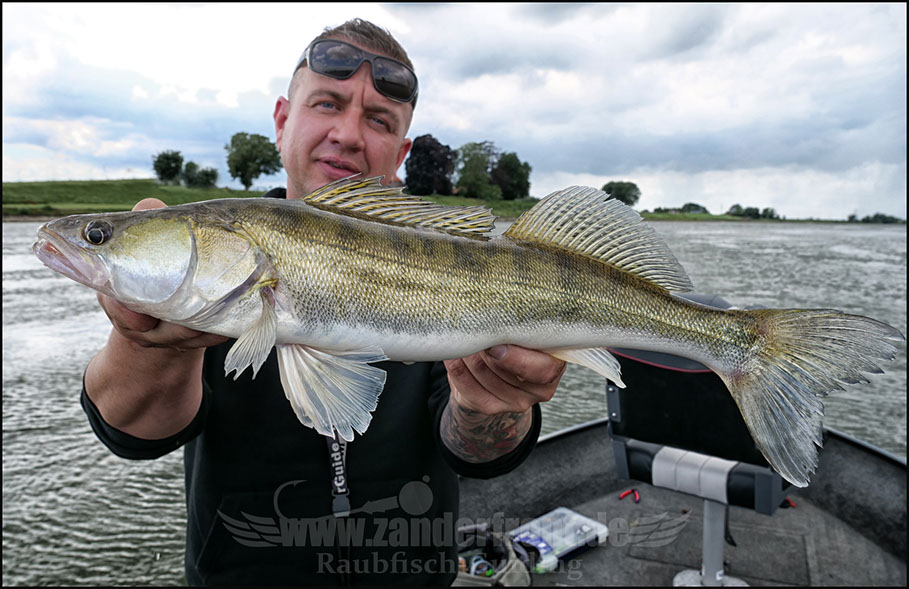 vertikal angeln auf zander