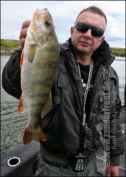 vertikal angeln auf zander