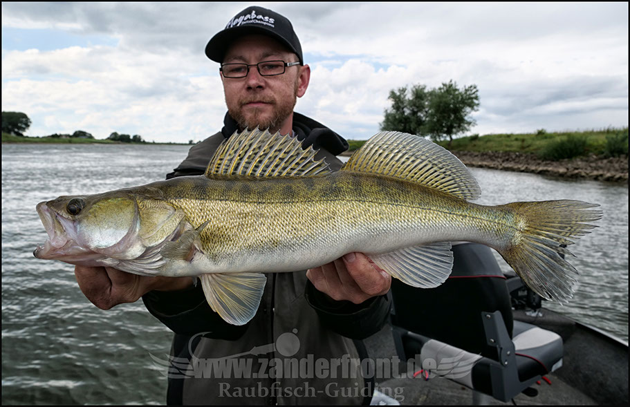 vertikal angeln auf zander