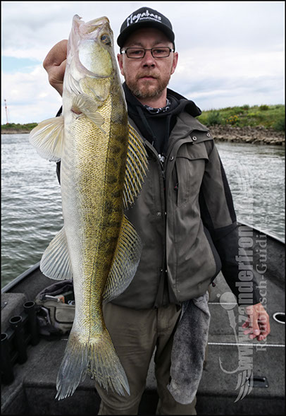 vertikal angeln auf zander