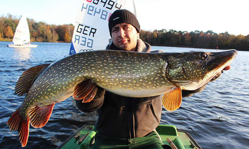 Schleppen auf grosse Hechte